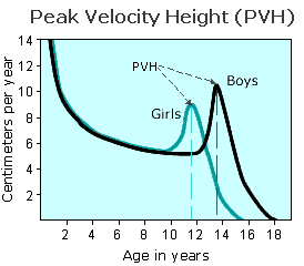 Διάγραμμα που δείχνει την ταχύτητα ανάπτυξης σε αγόρια και κορίτσια peak height velocity
